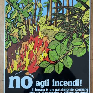 Emailschild Feuer Waldbrand
