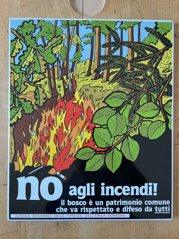 Emailschild Feuer Waldbrand