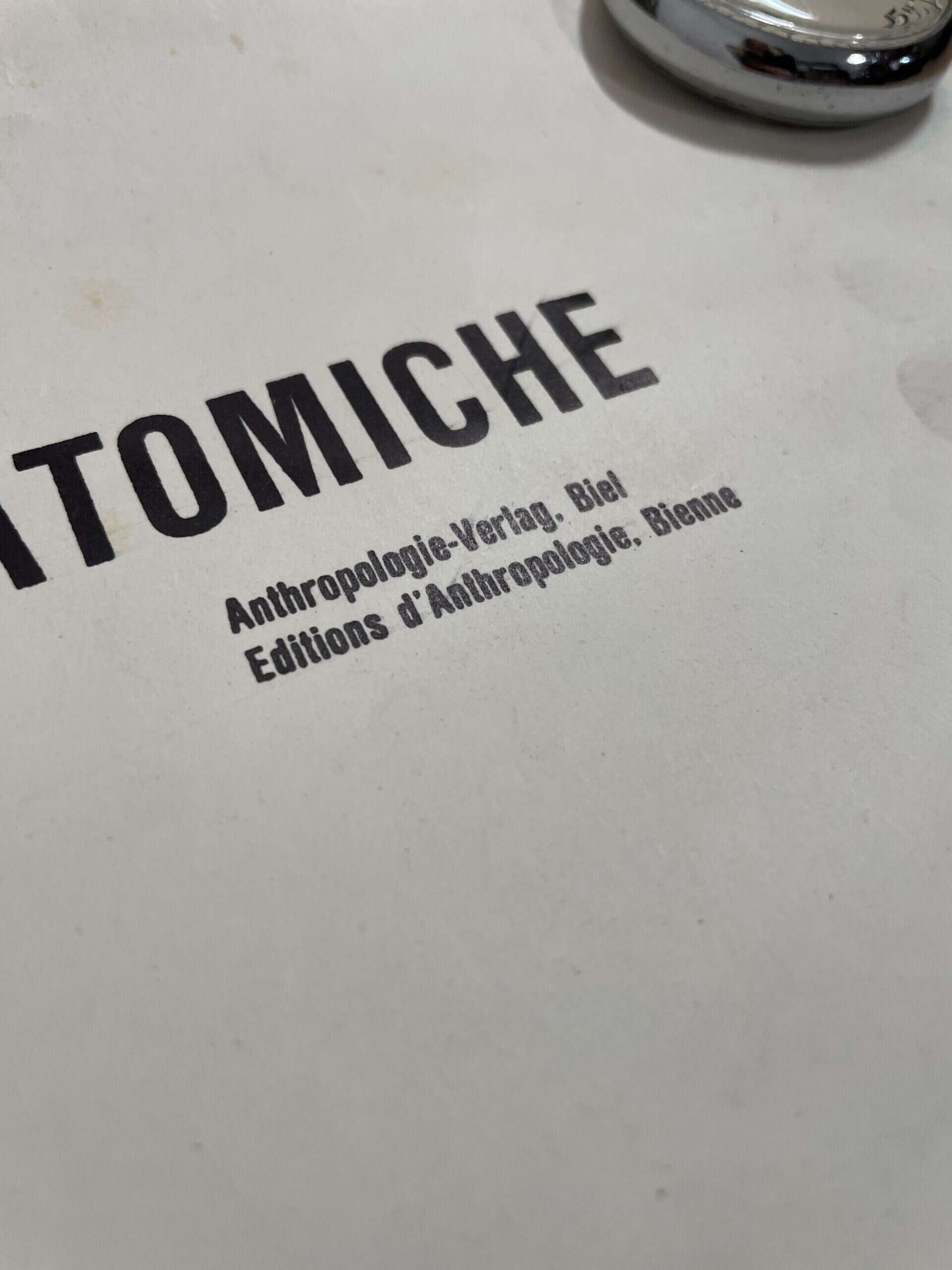 Schulplakat Blutkreislauf – Bild 3